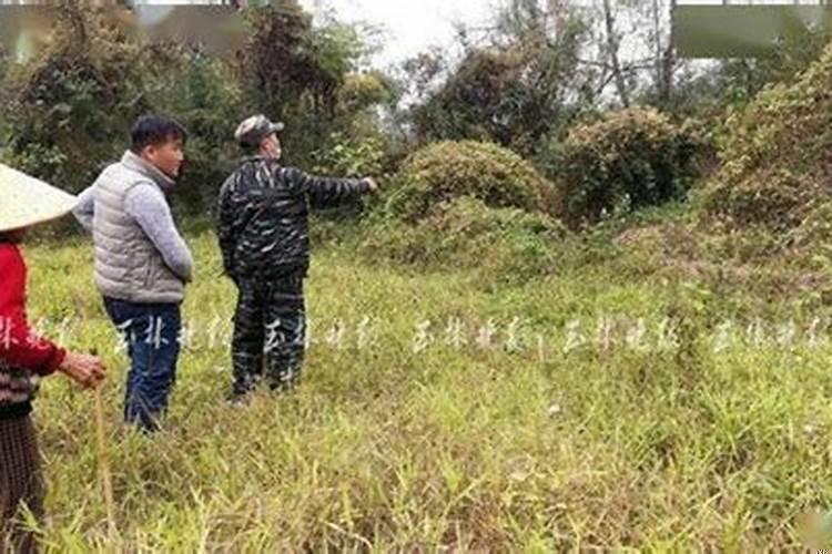 女涧下水男山头火合婚吗