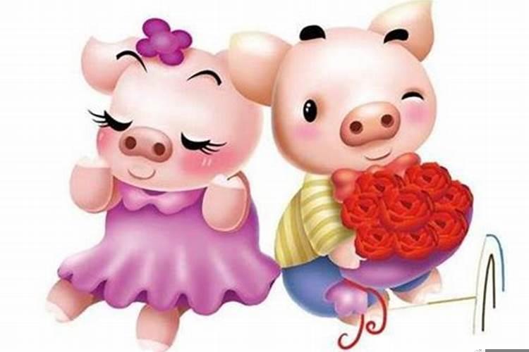 属猪适合做夫妻吗
