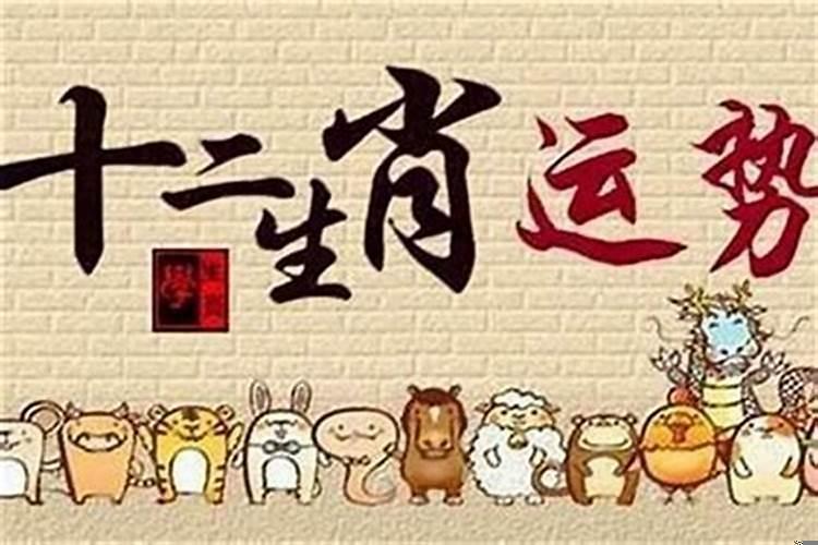 女人什么生肖不好