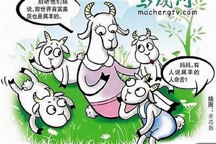 女人属相是羊的命好不好