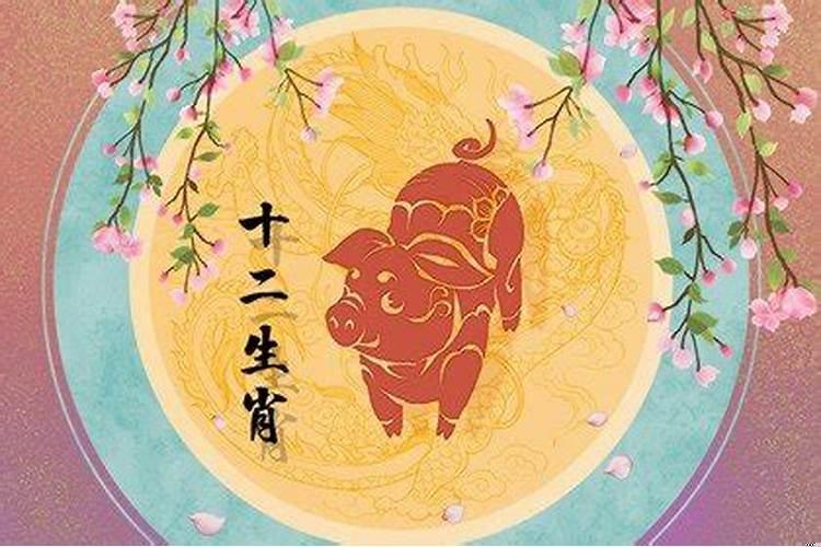 属猪的会发财吗