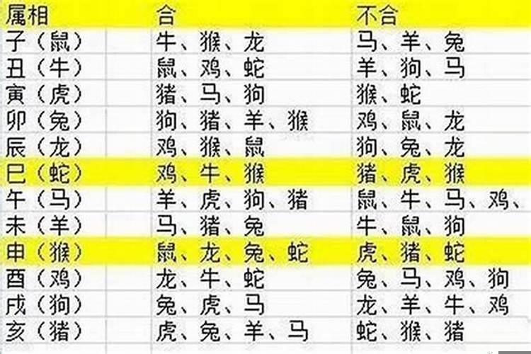 2025年哪些生肖合适生孩