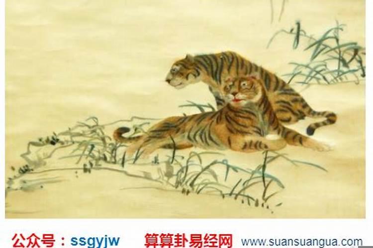 1974年属虎命理