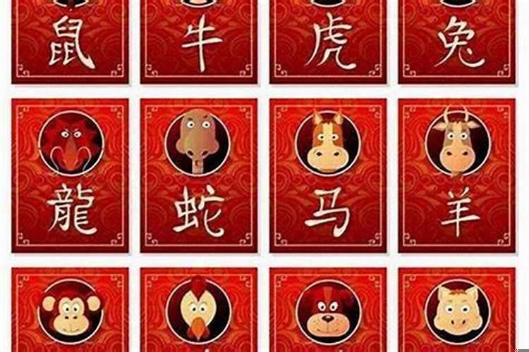 十二生肖和什么属相最配