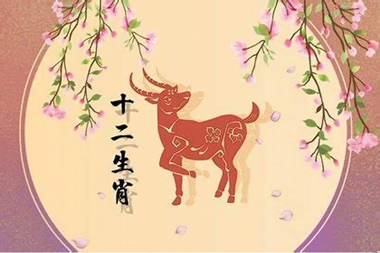 属马属羊什么时候结婚