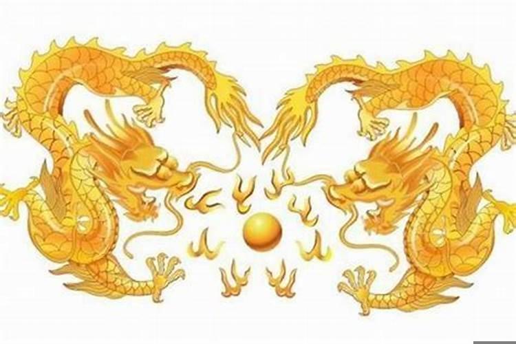 属龙的人和什么生肖不合