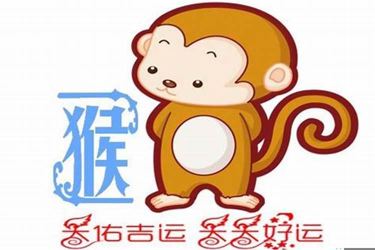 猴年过后是什么生肖