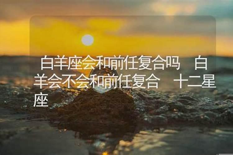 白羊男会和前女友复合吗