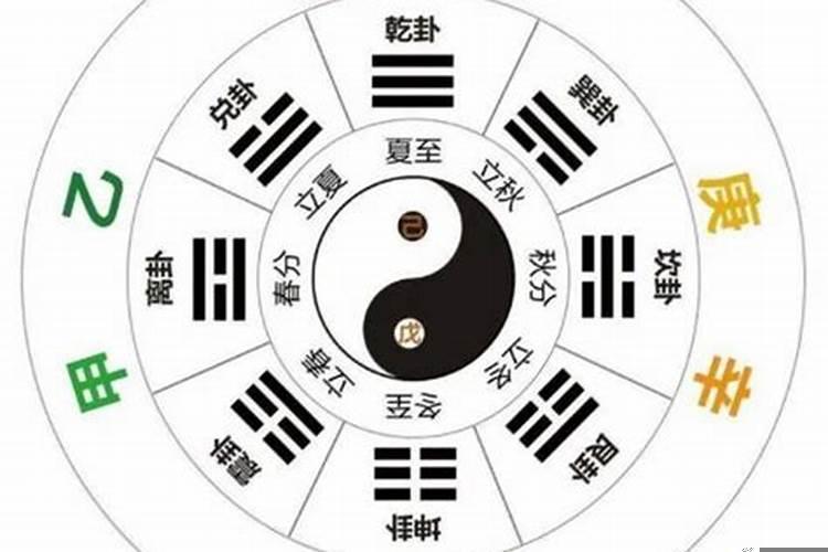 丁火走戊午大运