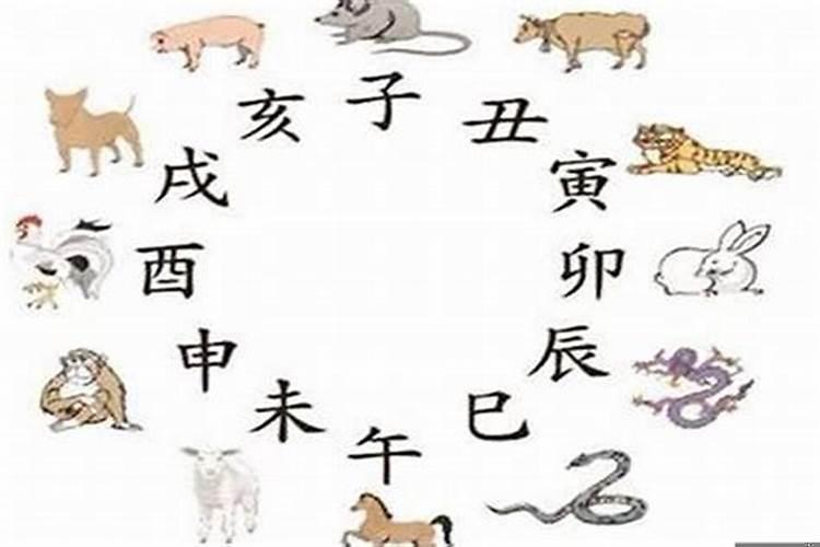 十二生肖最怕什么人呢