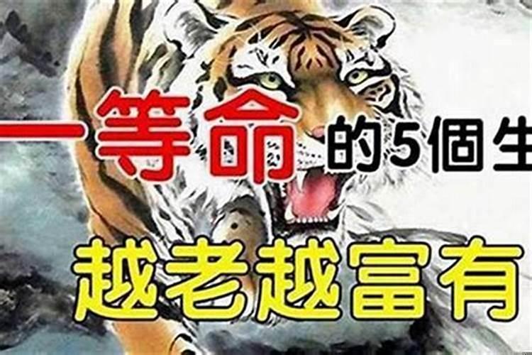 越来越有钱的四大生肖