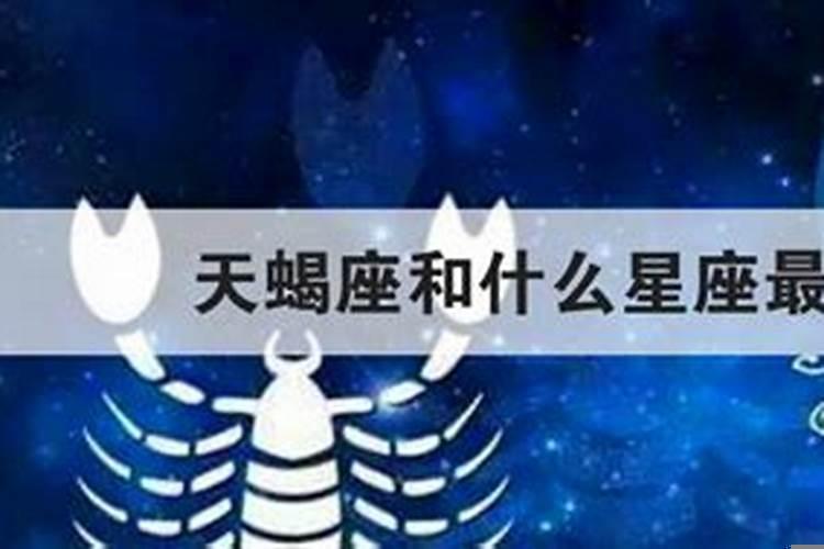 天蝎座跟什么星座最配的