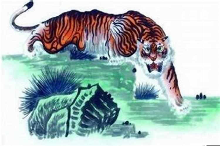 属虎的为啥命不好