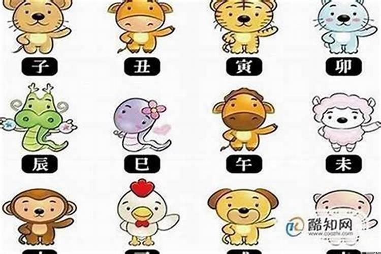 十二生肖最不喜欢和什么人打交道呢