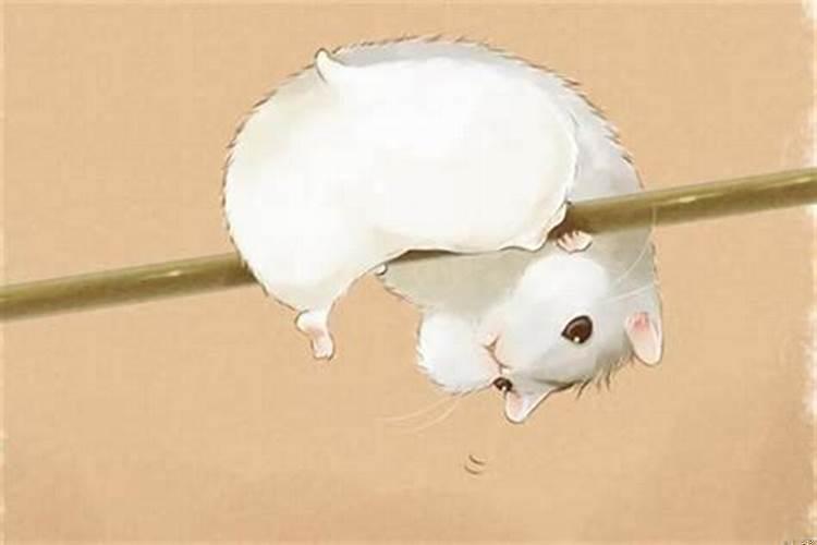 鼠人财运在什么方向