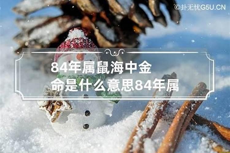 1984年属鼠海中金命是什么意思