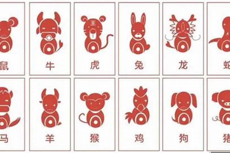 为什么有12生肖的说法