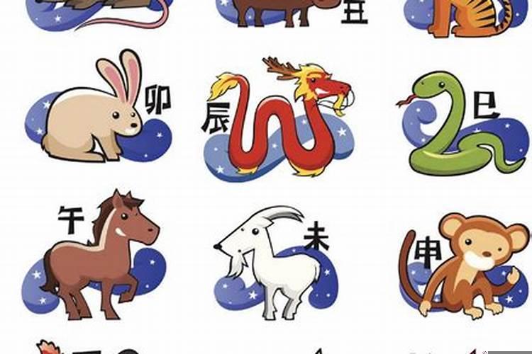 为什么有12生肖的说法