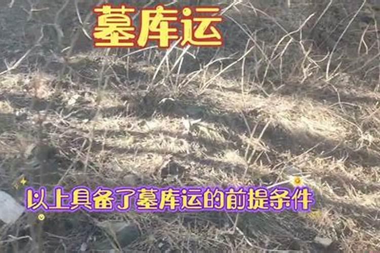 墓库运的症状