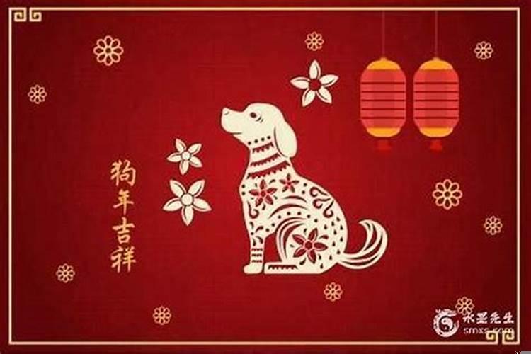 属狗的人命运为什么不好