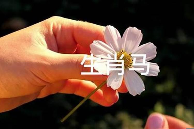 爱情最不顺利的三大生肖