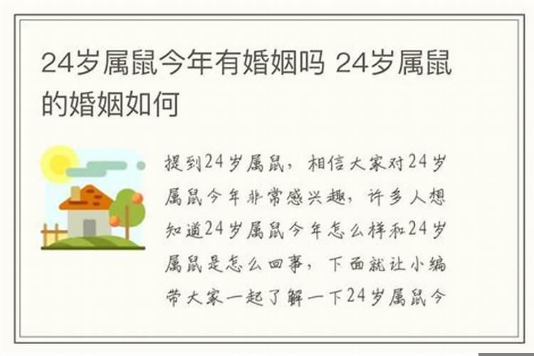 鼠离婚了会不会过得好