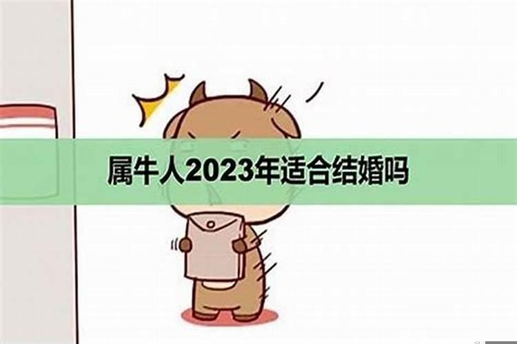 牛年本命年能不能结婚