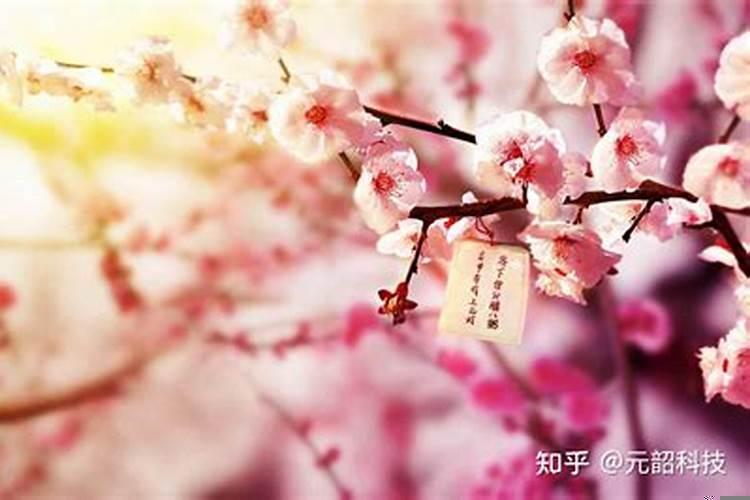 怎样斩断烂桃花