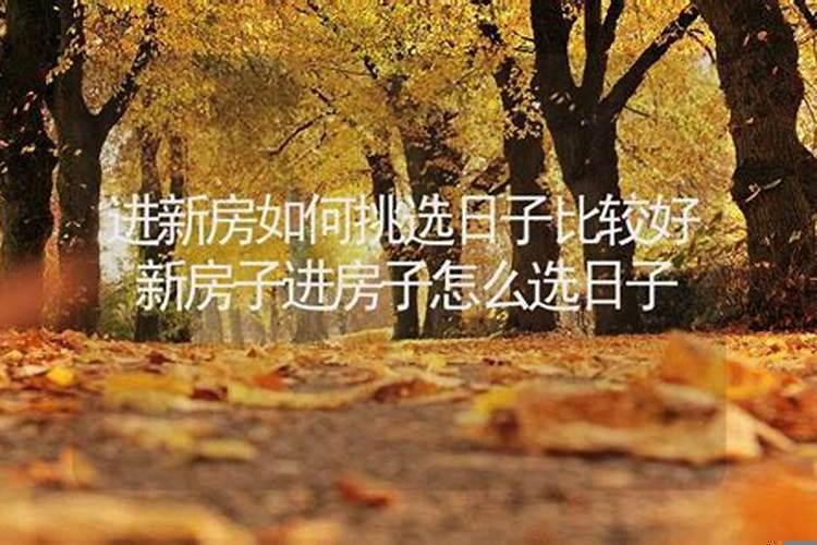 接新房子怎么选择吉日