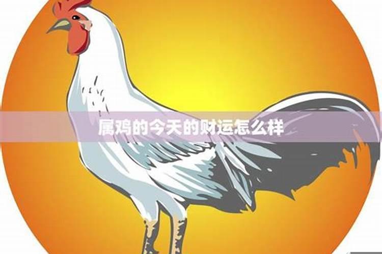 今日属鸡人财运方向