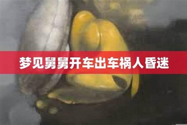 梦见舅舅了几辆车