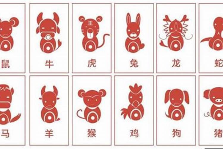 猪和羊的寓意