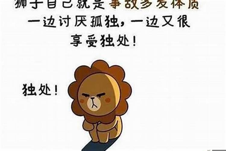狮子男喜欢有气质的女生