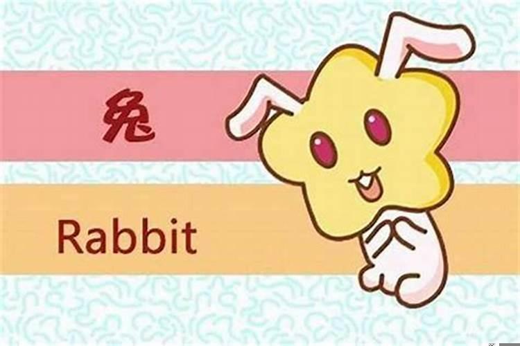 兔男与虎女相配好吗