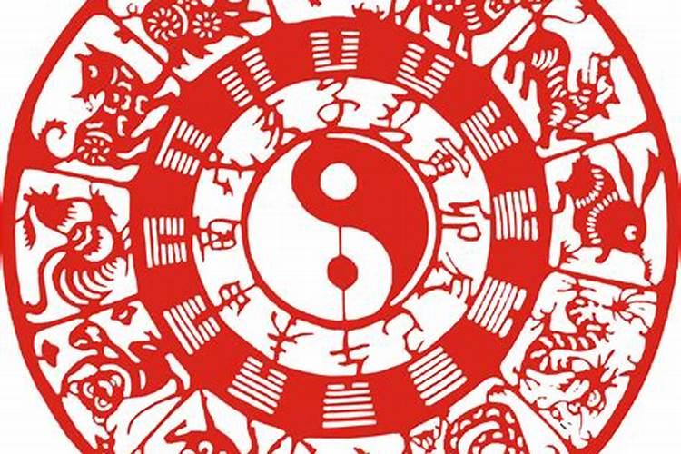 你十二生肖