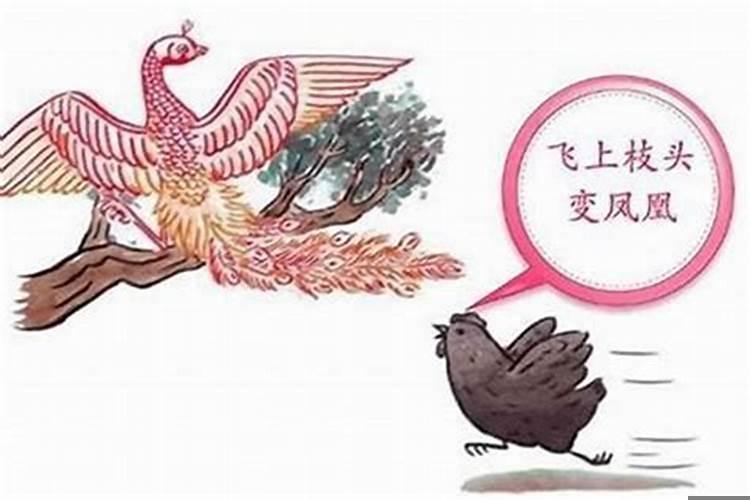 属鸡什么时辰出生最好命运