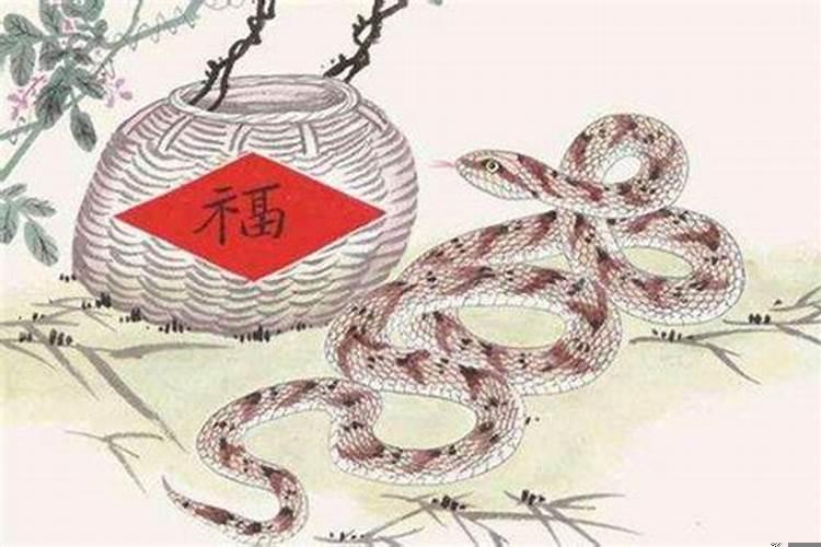 属牛和属蛇的婚姻怎么样有什么相冲吗