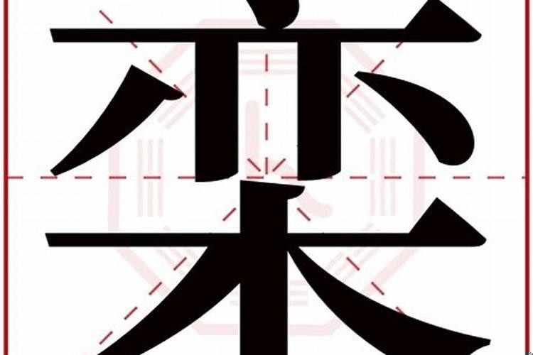 栾取名大全