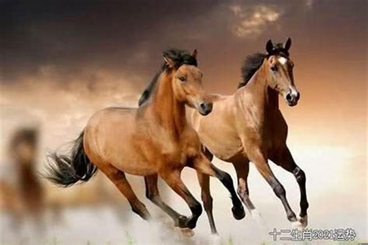 66年属马女什么命