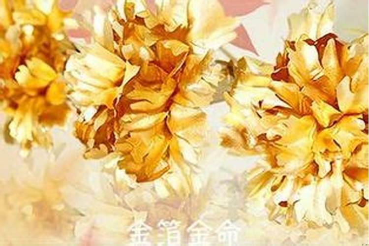 金箔金命和土命
