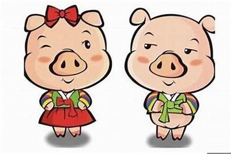 属猪和什么属相最配财运最旺