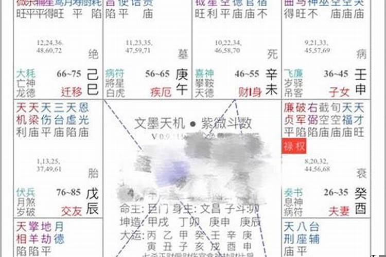 紫微斗数富贵命盘实例