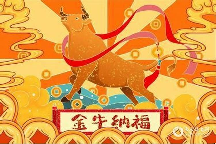 属牛女的感情