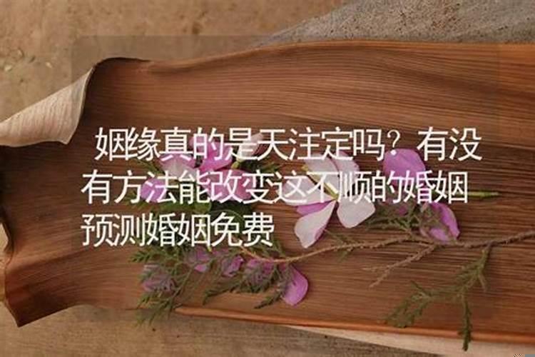 算命说姻缘出现是遇到还是已经定下来