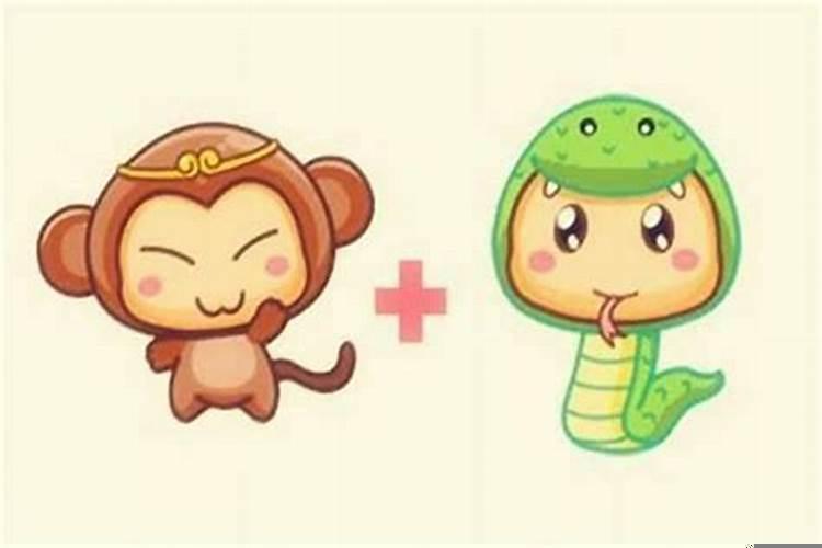属蛇和属猴相配吗婚姻