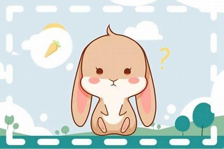 属兔的2025年多大岁数