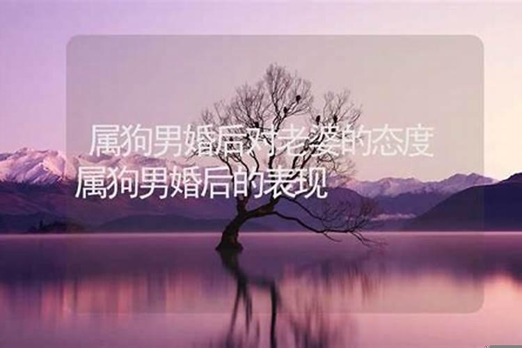 属狗男对老婆变心了表现