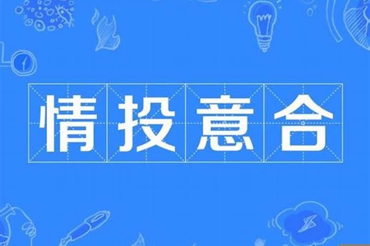 啥叫情投意合