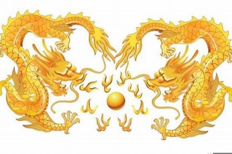 飞龙在天的生肖