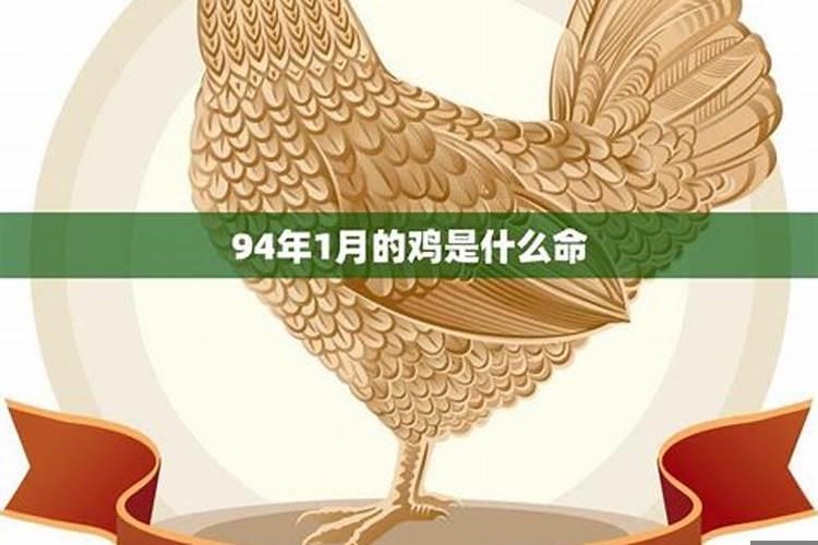 农历12月属鸡的人命运怎么样
